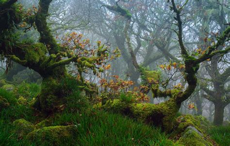 Dartmoor England