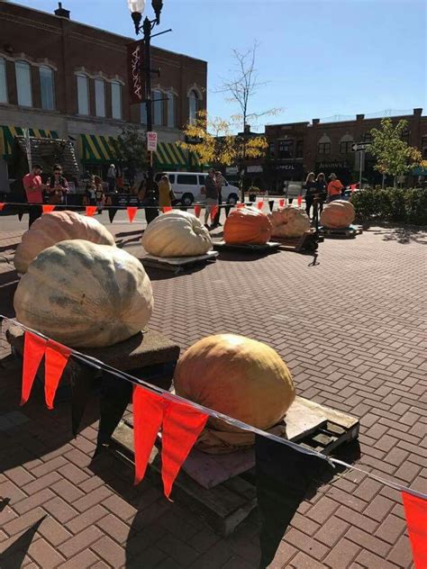 Giant Pumpkin Weigh Off In Anoka Mn The Halloween Capital Of The World