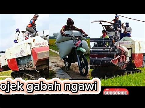 Skills Ojek Gabah Ngawi Grain Motorbike Rice YouTube