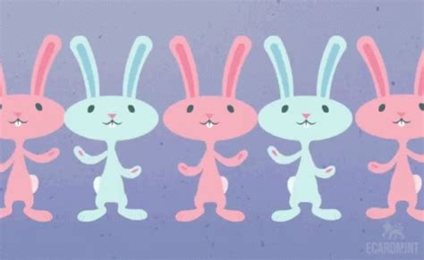 Dancing Dancing Bunny GIF - Dancing Dancing Bunny Bunny - Discover ...