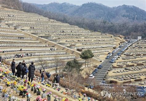 설 맞아 성묘·공원·귀성·귀경 나들이까지인파 북적 전국 혼잡 네이트 뉴스