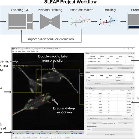 Sleap Unet Versus Deeplabcut Resnet Performance For Multi Animal Pose