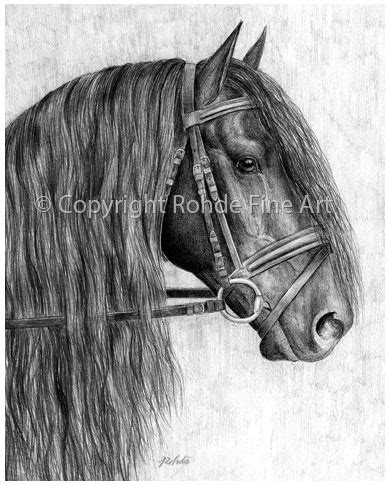 Friesian Horse Drawing at PaintingValley.com | Explore collection of Friesian Horse Drawing