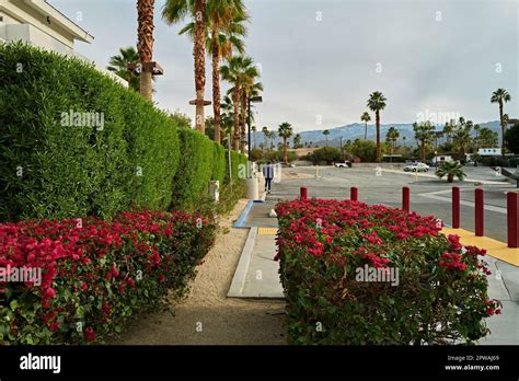 Palm Springs Gallery Hi Res Stock Photography And Images Alamy