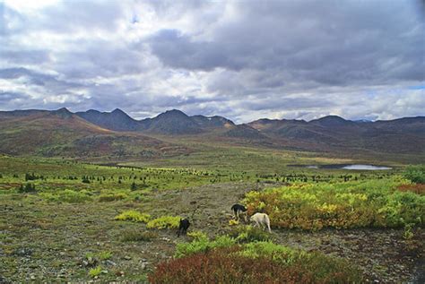 hiking  fish lake yukon canada     time flickr