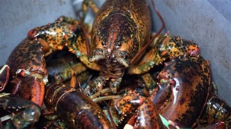 La Coopérative des pêcheurs des Îles de la Madeleine simpatiente