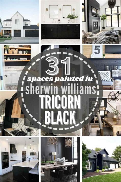 Sherwin Williams Tricorn Black Sw 6258 The Ultimate Review Black