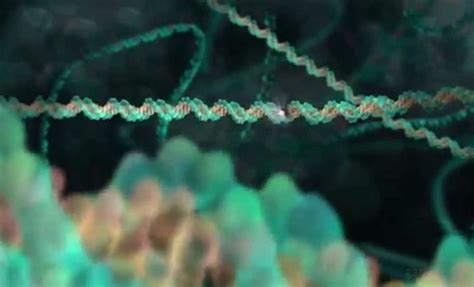 Project Called Human Genome Project Write Announced Creating Synthetic Human Genome