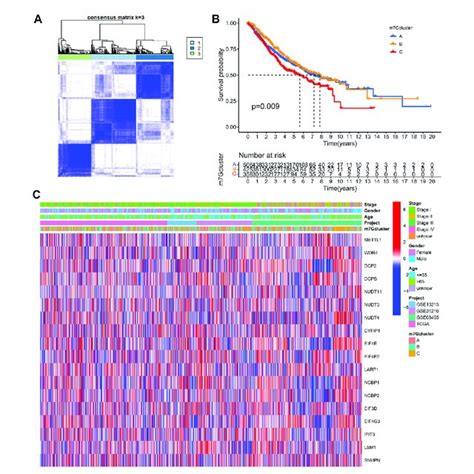 M G Associated Luad Subtypes And Clinical Prognosis A Consensus