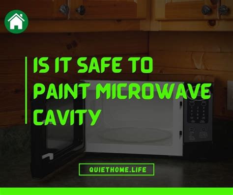 What Kind Of Paint Can You Use On The Inside Of A Microwave Quiet