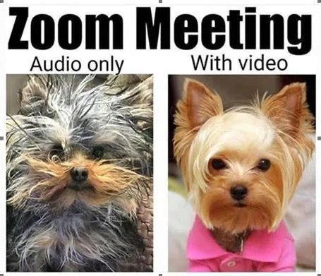 Zoom meeting background meme - codejnr