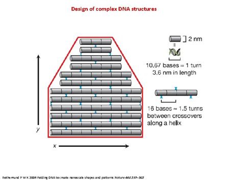 Introduction To Dna Origami Synthesis Of Dna Origami