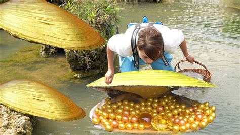 Zhuhai Tour A Girl Showcases A Precious Pearl Journey Discovered In