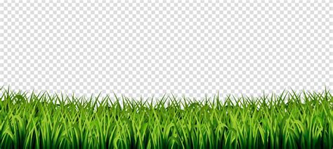 Grass Transparent Background 7872854 Vector Art At Vecteezy