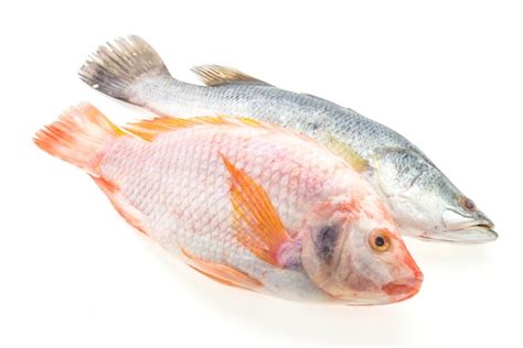 poisson frais photo gratuite