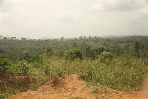 Landscape Near Kakum National Park Ghana Inyathi Flickr