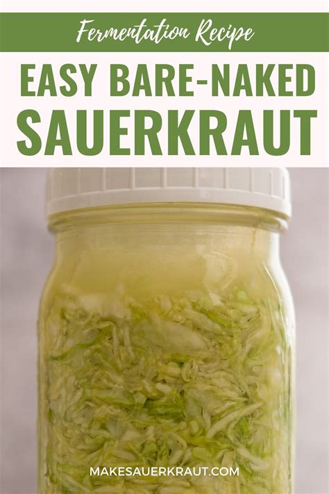 Sauerkraut Dinner Artofit