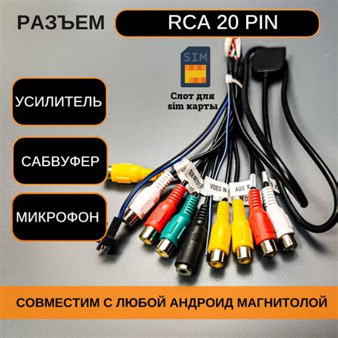 Rca Pin