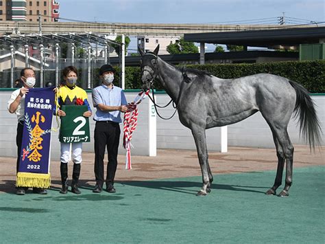 【小倉記念】売上は45億5408万2800円で昨年からおよそ10億円増加 競馬ニュース Netkeiba