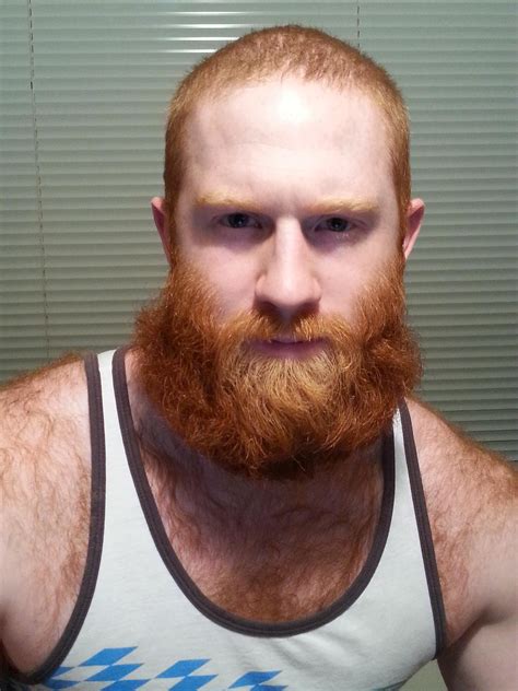 Meet My Roommate And His Glorious Red Beard Rbeards