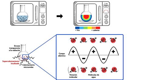 Hornos De Microondas En La Casa Y En La Ciencia