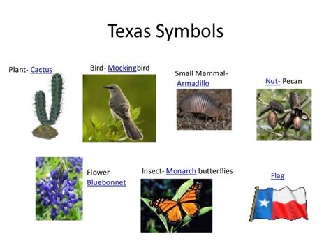 Texas Symbols 1