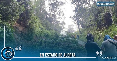 Conozca Los Municipios Del Tolima En Emergencia Por Fuertes Lluvias