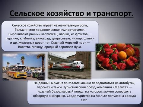 Мальта - презентация онлайн