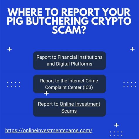 Pig Butchering Crypto Scams Recovery