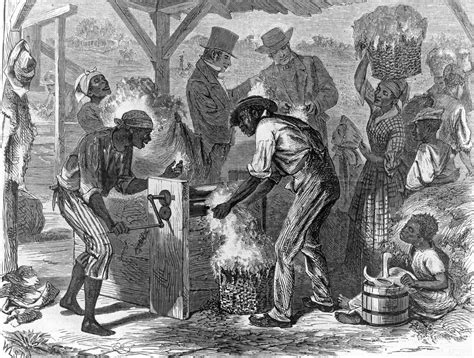 Cotton gin | Definition, Inventor, Eli Whitney, Impact, & Facts ...