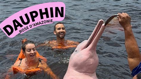 On A Nag Avec Les Dauphins Roses En Amazonie Au Br Sil Youtube