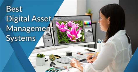 20 Best Digital Asset Management Dam Systems In 2024