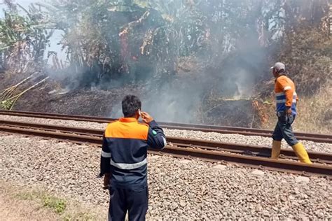 Bahaya Ini Efeknya Jika Bakar Sampah Di Dekat Jalur Rel Kereta Api