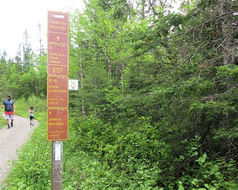 Les 10 Meilleures Choses à Faire à Sainte Anne Des Monts 2023