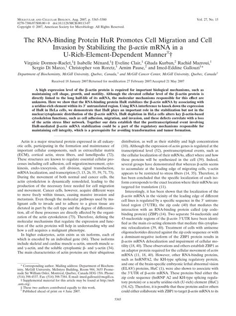 PDF The RNA Binding Protein HuR Promotes Cell Migration And Cell