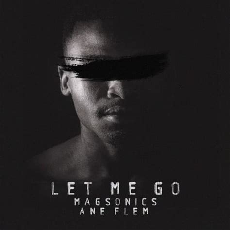 Magsonics Ane Flem Let Me Go Lyrics Genius Lyrics