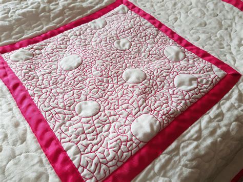 Beginner Designs Free Motion Quilting Project