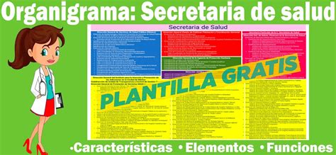 Organigrama General De La Secretaría De Salud 2025 Oficial