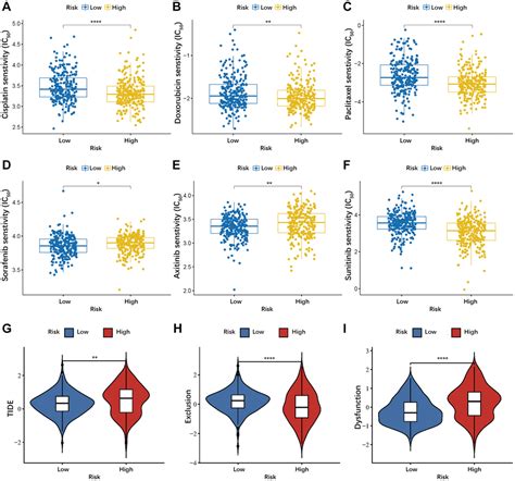 Identification And Validation Of An Anoikis Related Genes Signature For