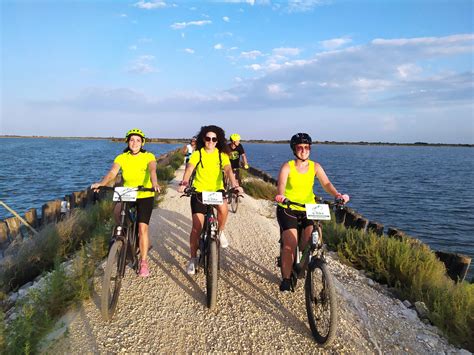 Anello Valli Di Comacchio Ciclabile Furlana Percorsi E Bike Delta Del