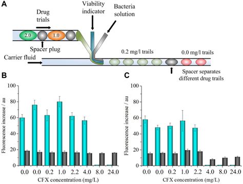 Emerging Microtechnologies And Automated Systems For Rapid Bacterial