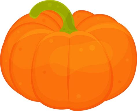 Vector Icono Lineal Calabaza Verdes Y Verduras Especias Y Hierbas