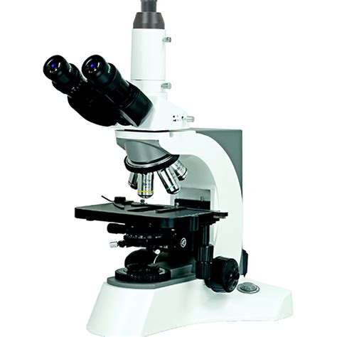 Wholesale High Quality The Compound Microscope Bs Laboratory