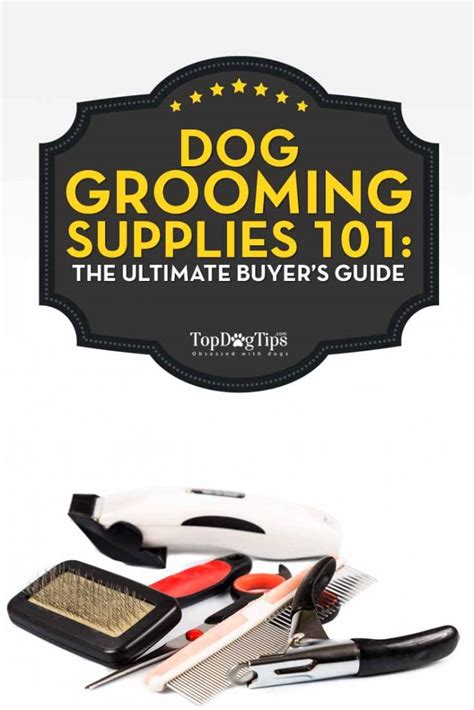 Dog Grooming Supplies 101: The Ultimate Buyers' Guide – Top Dog Tips