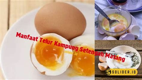 Manfaat Telur Kampung Setengah Matang Yang Jarang Diketahui Solider