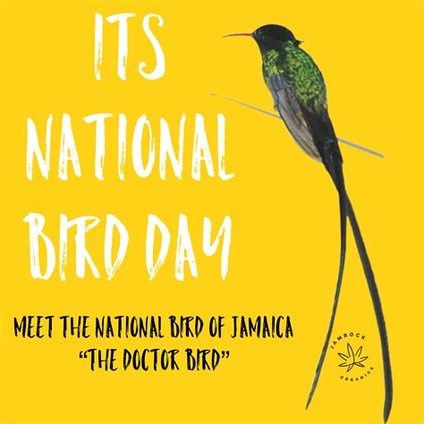 Did you know the National Bird of Jamaica is the Doctor Bird more ...