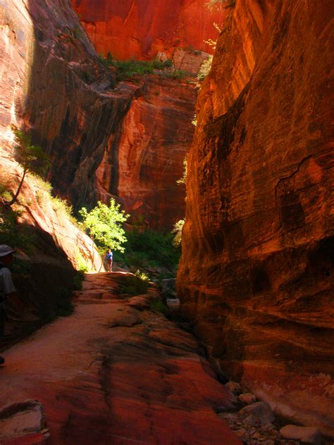 Utah Zion Echo Canyon Warmth Of The Sun Arboretum Outdoor Life Zion