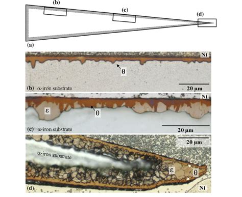 Optical Micrographs Showing Cross Sections After Etching With 1 Vol