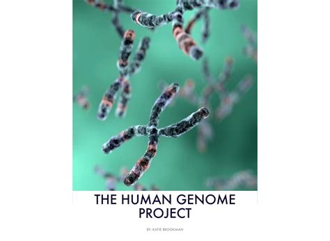 Calaméo The Human Genome Project