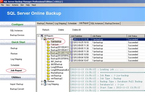 Where I Can See The Ms Sql Server Backup Job Report Databk Backup Software